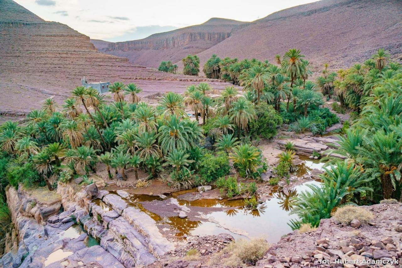Lodge Ouednoujoum & Ouarzazate