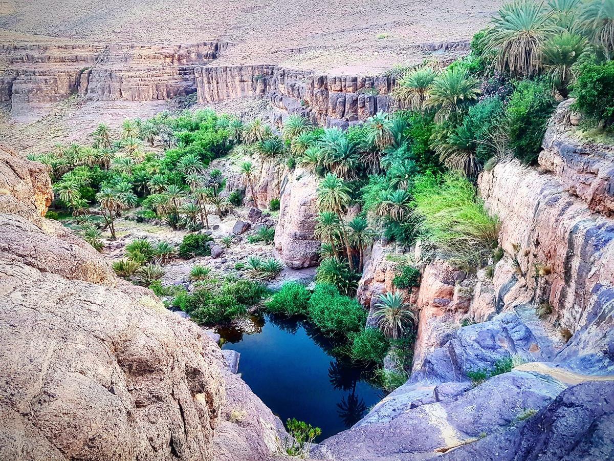 Ouednoujoum & Alojamento de Turismo Selvagem Uarzazate